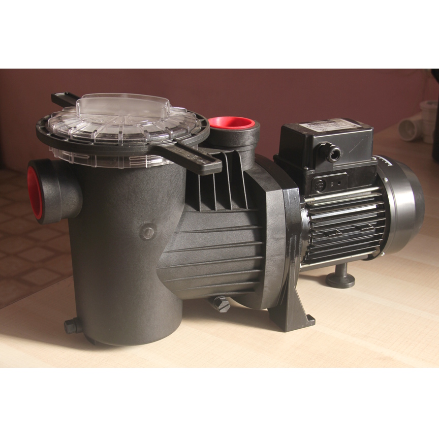 Swimming Pool Motor